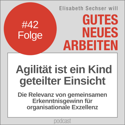 42-Agilitaet-ist-ein-Kind-geteilter-Einsicht-disqourse